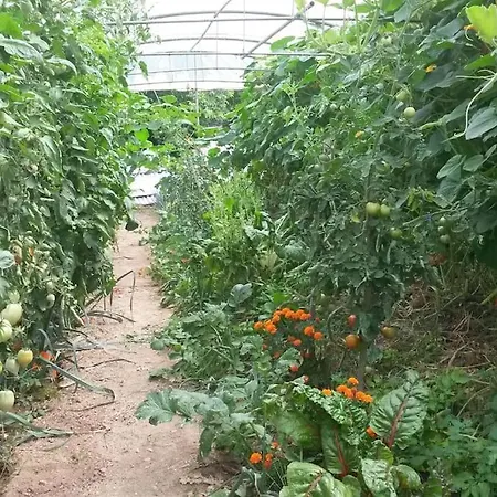 Semesterbostad Les Granges Dans Ferme Provencale. 14 Pers *