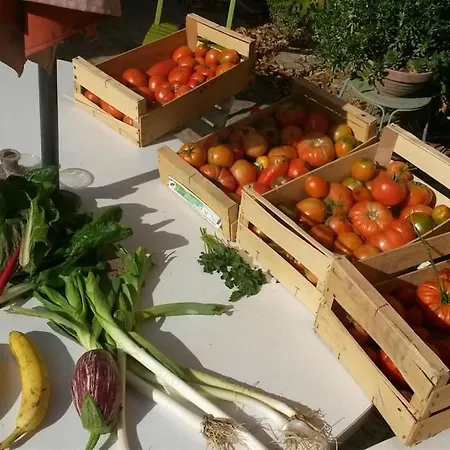 Tatil Evi Les Granges Dans Ferme Provencale. 14 Pers *