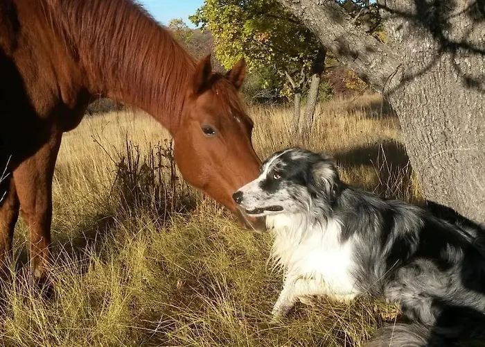 Les Granges Dans Ferme Provencale. 14 Pers * Ongles