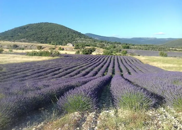 Semesterbostad Les Granges Dans Ferme Provencale. 14 Pers