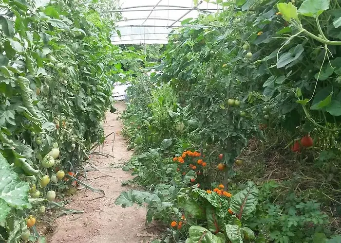 Semesterbostad Les Granges Dans Ferme Provencale. 14 Pers *