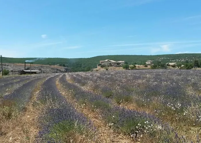 Les Granges Dans Ferme Provencale. 14 Pers