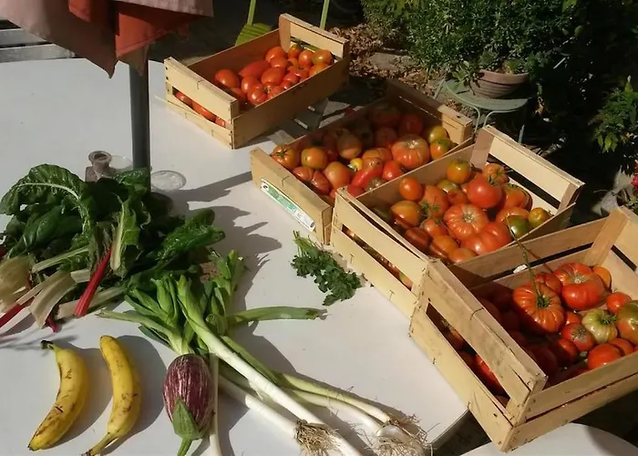 Semesterbostad Les Granges Dans Ferme Provencale. 14 Pers *