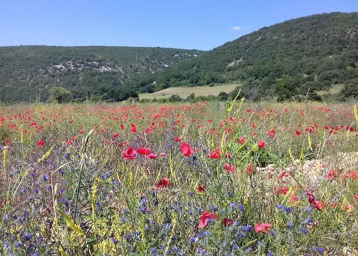 Les Granges Dans Ferme Provencale. 14 Pers Semesterbostad Ongles