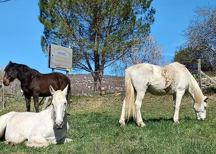 Les Granges Dans Ferme Provencale. 14 Pers *