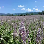 Les Granges Dans Ferme Provencale. 14 Pers Casa vacanze Ongles