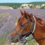 Casa vacanze Les Granges Dans Ferme Provencale. 14 Pers