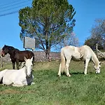 Les Granges Dans Ferme Provencale. 14 Pers *