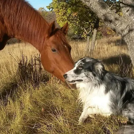 Les Granges Dans Ferme Provencale. 14 Pers * Ongles