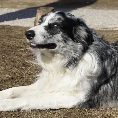 Les Granges Dans Ferme Provencale. 14 Pers *