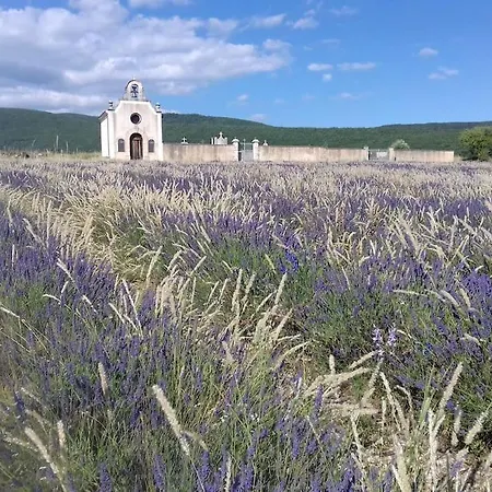 Prázdninový dům Les Granges Dans Ferme Provencale. 14 Pers
