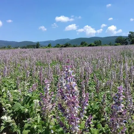 Les Granges Dans Ferme Provencale. 14 Pers بيت للعطل Ongles