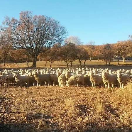 Les Granges Dans Ferme Provencale. 14 Pers * Ongles