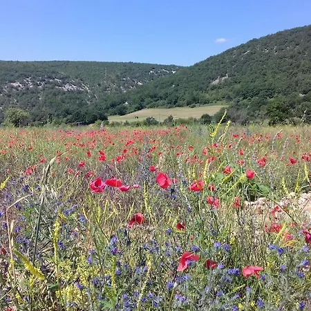 Les Granges Dans Ferme Provencale. 14 Pers Prázdninový dům Ongles
