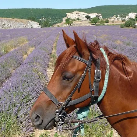 Holiday home Les Granges Dans Ferme Provencale. 14 Pers