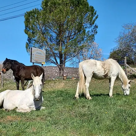 Les Granges Dans Ferme Provencale. 14 Pers *
