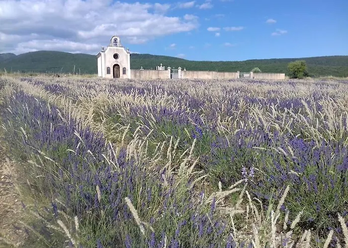 Nyaraló Les Granges Dans Ferme Provencale. 14 Pers