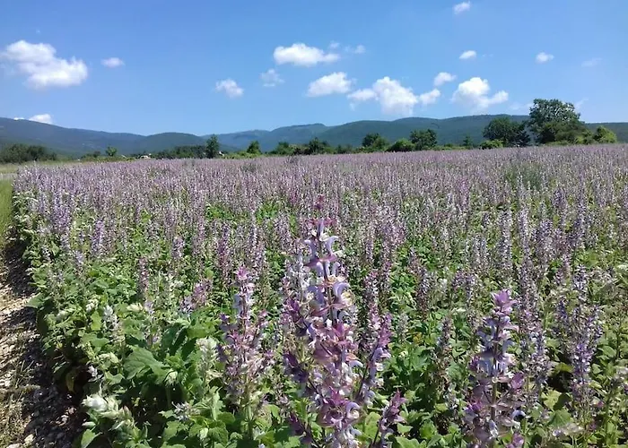 Les Granges Dans Ferme Provencale. 14 Pers Nyaraló Ongles
